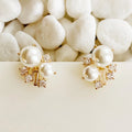 Pearl and Shine Earrings